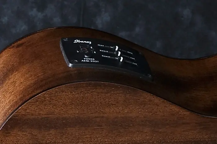 Ibanez PCBE-12MH OPN akustisk bassgitar 