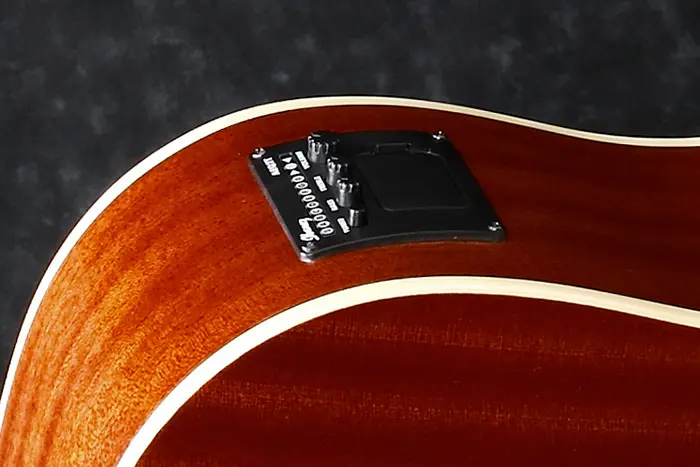 Ibanez PF-15ECE BK akgitar 