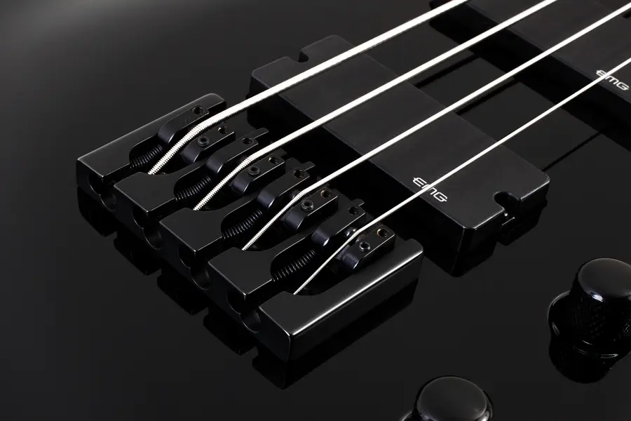 Schecter Dale Stewart Bass (BLK) Gloss Black 