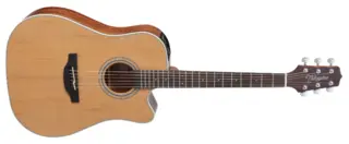 Takamine GD20CE-NS