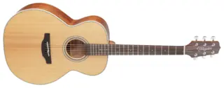 Takamine GN20-NS