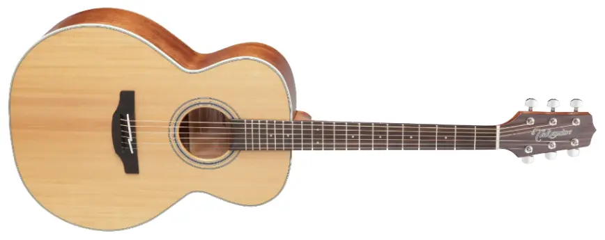 Takamine GN20-NS (Uten Hardcase) 