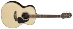 Takamine GD51-NAT