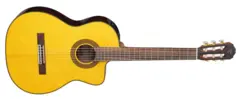Takamine GC5CE-NAT (Uten Hardcase)
