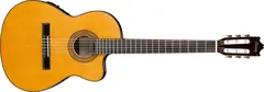 Ibanez GA5TCE-AM m/ mik