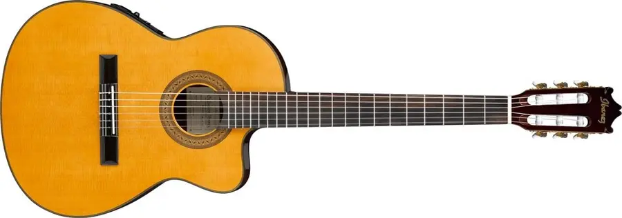 Ibanez GA5TCE-AM m/ mik 