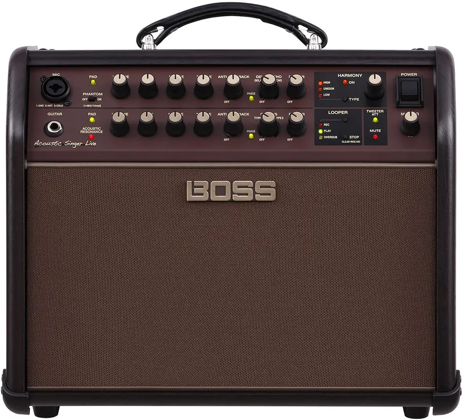Boss Acoustic Singer Live 