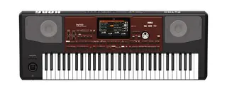 KORG PA700 Arranger Keyboard