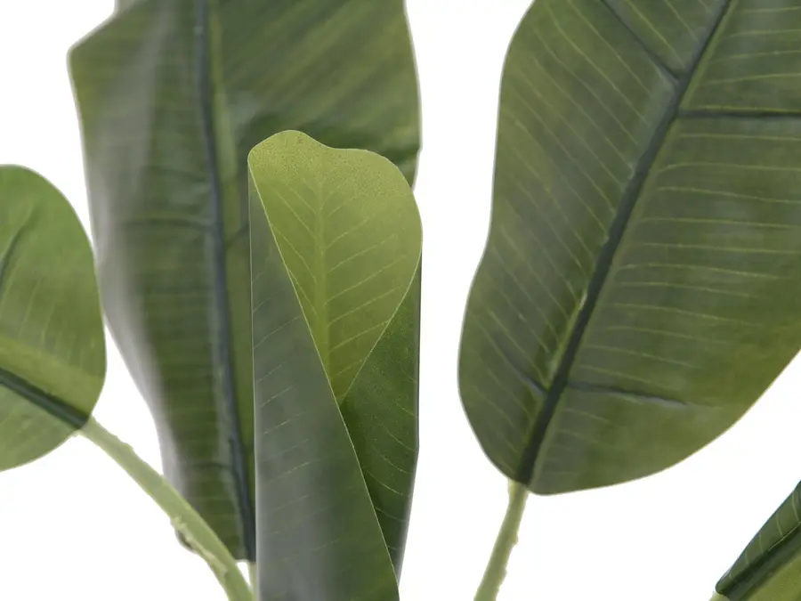 Europalms Banana tree, 100cm 
