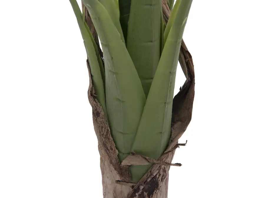 Europalms Banana tree, 100cm 