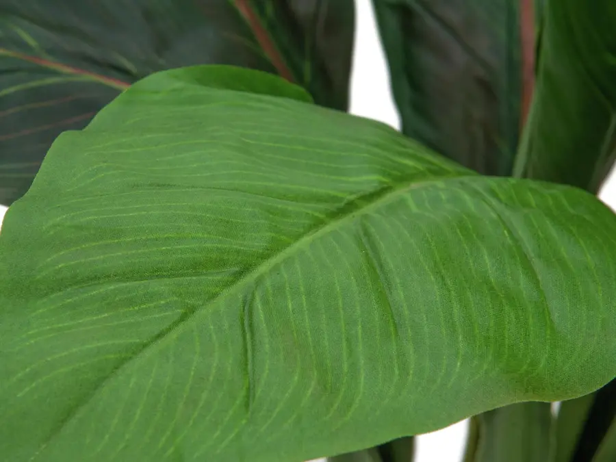 Europalms Sago palm tree, 45cm 
