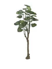 Europalms Pothos tree, 150cm