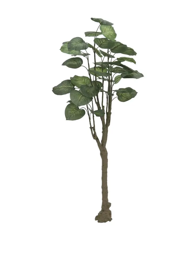 Europalms Pothos tree, 150cm 