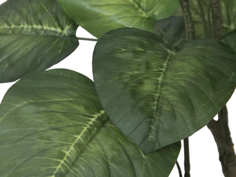 Europalms Pothos tree, 150cm 