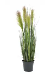Europalms Feather grass, rosa, 90cm