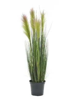 Europalms Feather grass, rosa, 90cm