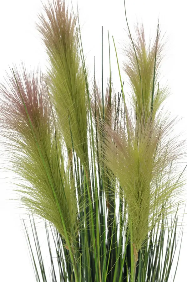 Europalms Feather grass, rosa, 90cm 