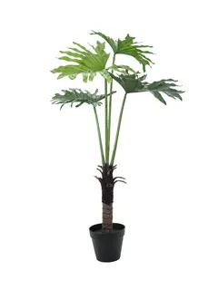 Europalms Split Philo Plant, 120cm
