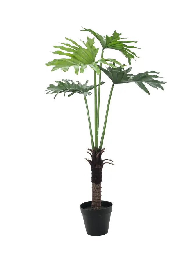 Europalms Split Philo Plant, 120cm 