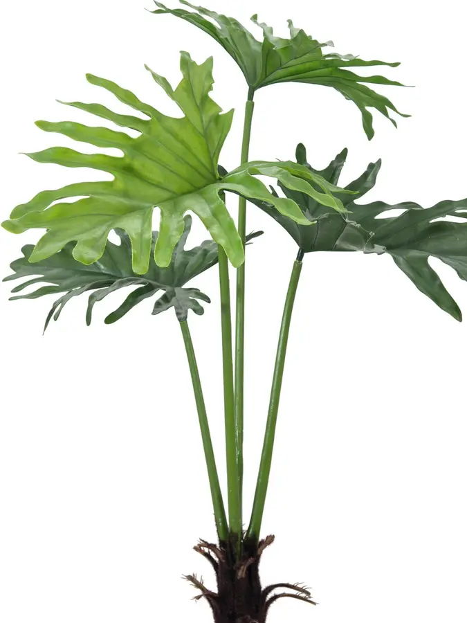 Europalms Split Philo Plant, 120cm 