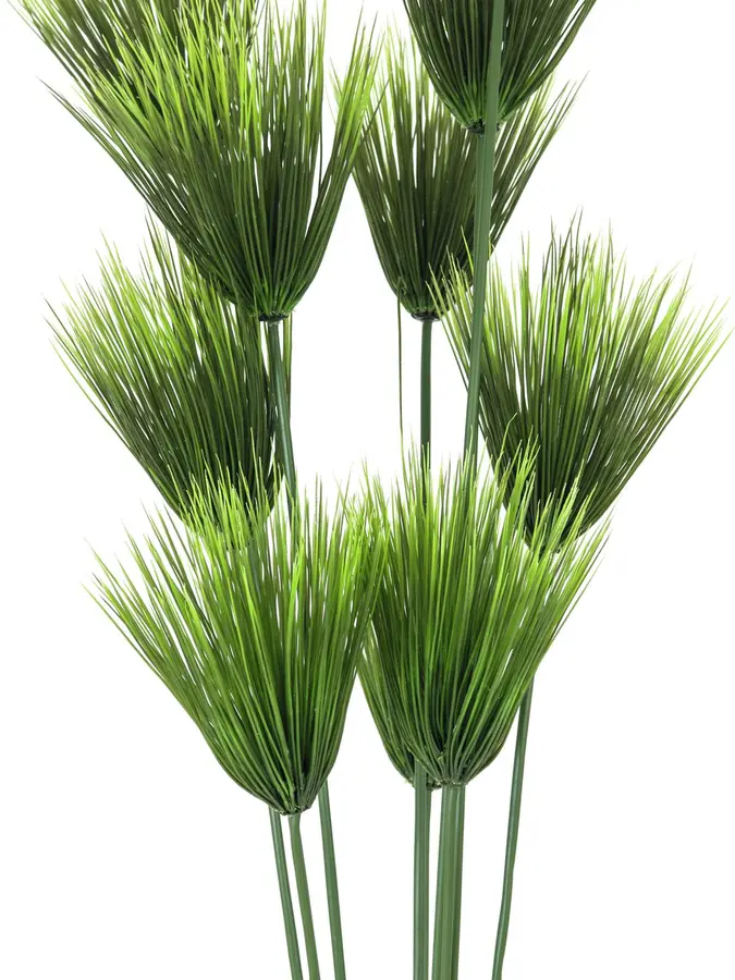 Europalms Papyrus plant, 150cm 