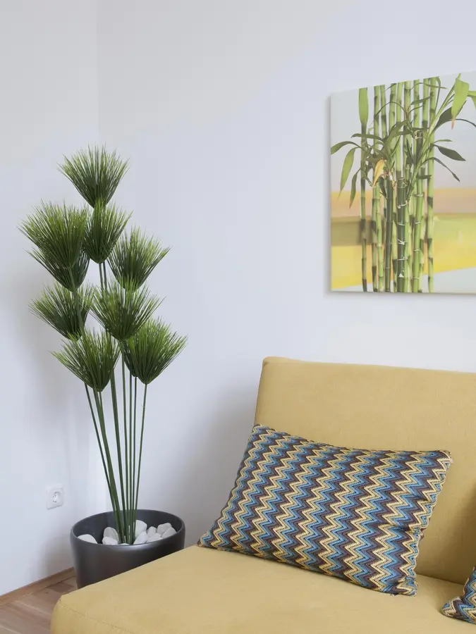 Europalms Papyrus plant, 150cm 