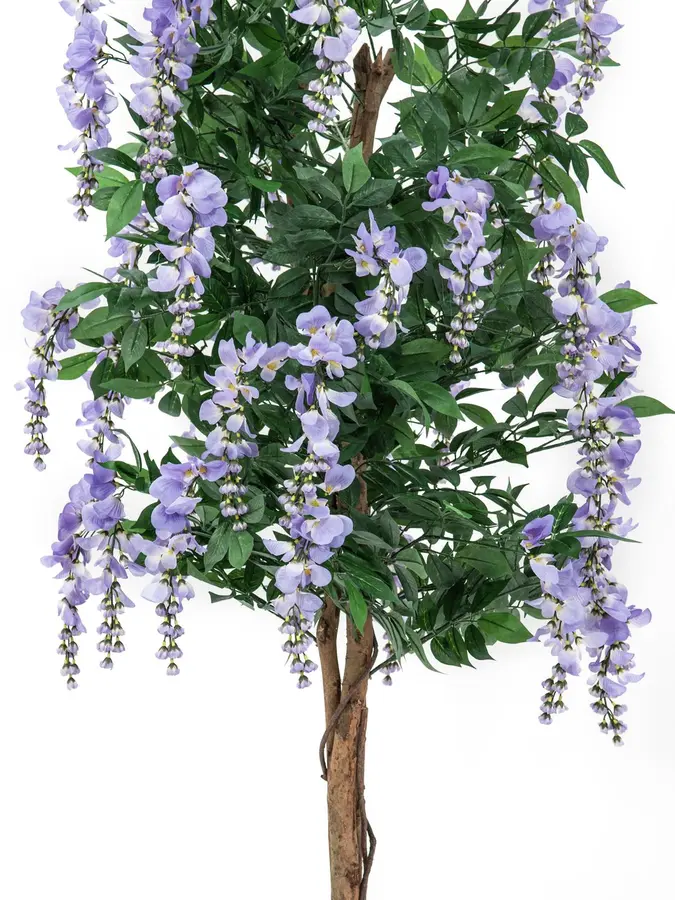 Europalms Wisteria, purple, 150cm 