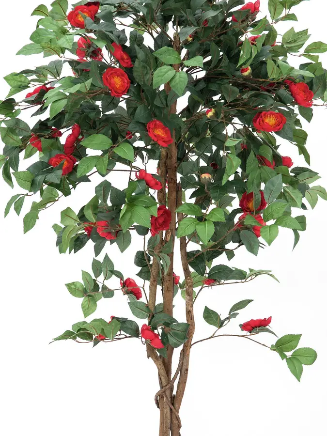 Europalms Camelia red cemented 180cm 