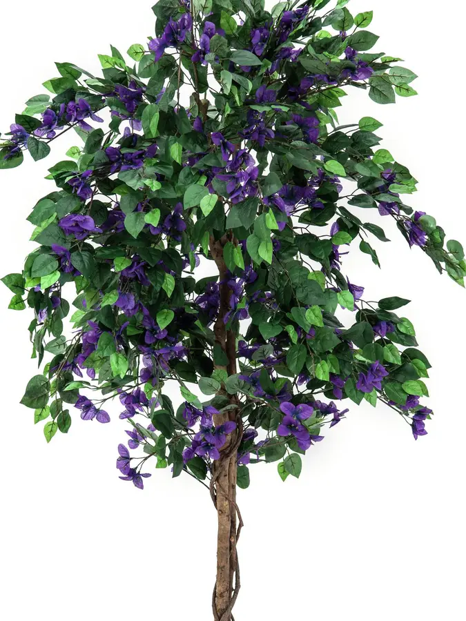 Europalms Bougainvillea, lavender, 180cm 