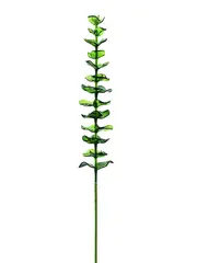Europalms Crystal eucalyptus, green 81cm 12x