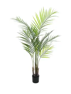 Europalms Areca palm with big leaves 125cm