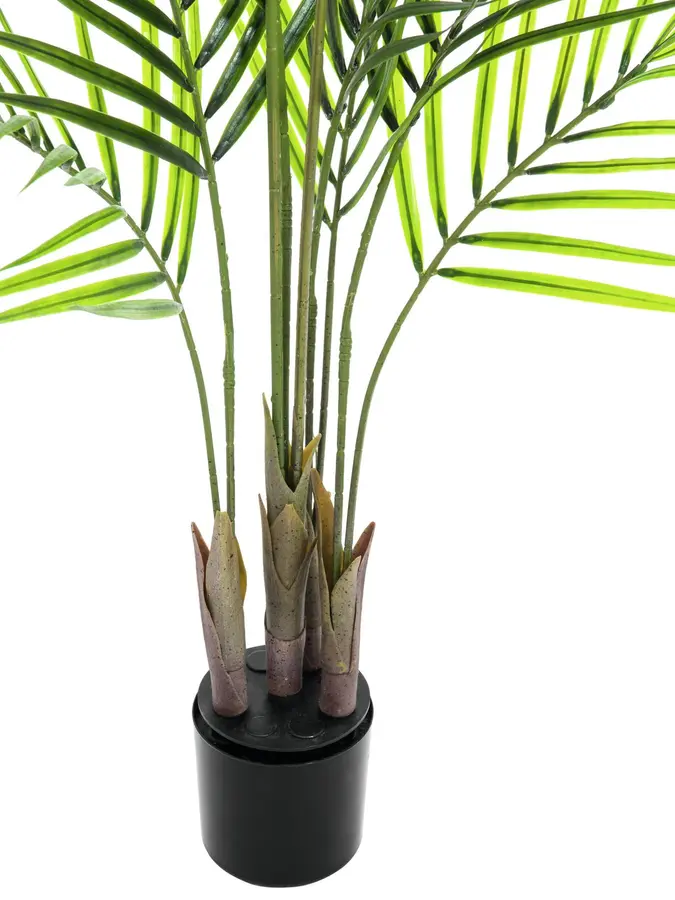 Europalms Areca palm with big leaves 125cm 