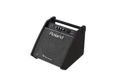 Roland PM-100