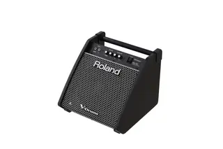 Roland PM-100