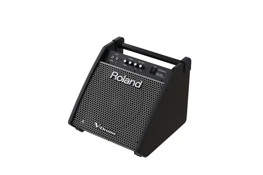Roland PM-100 