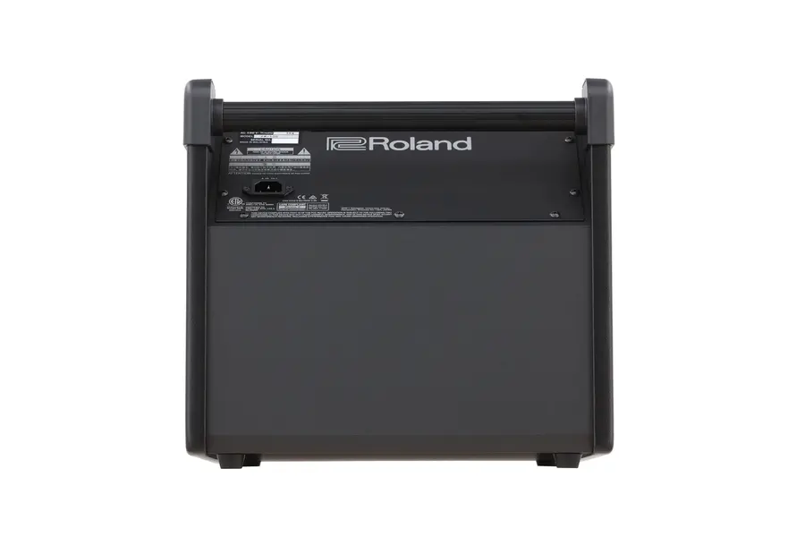 Roland PM-100 