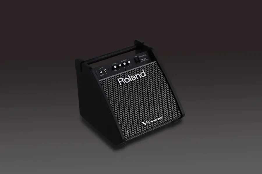 Roland PM-100 