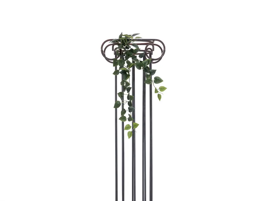 Europalms Philodendron Bush Classic 70cm 
