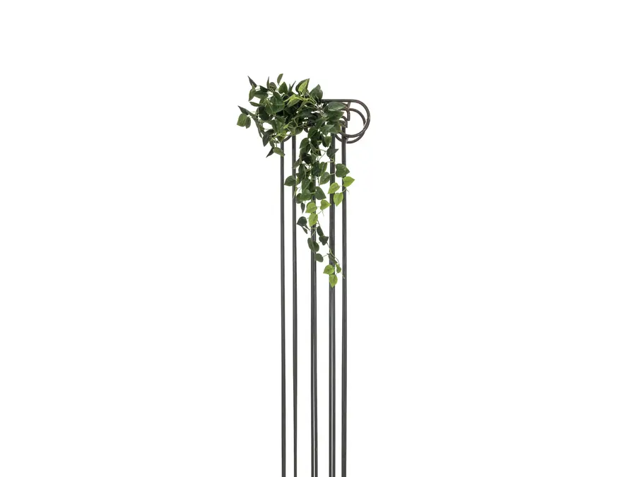 Europalms Pothos Bush Tendril Classic 100cm 