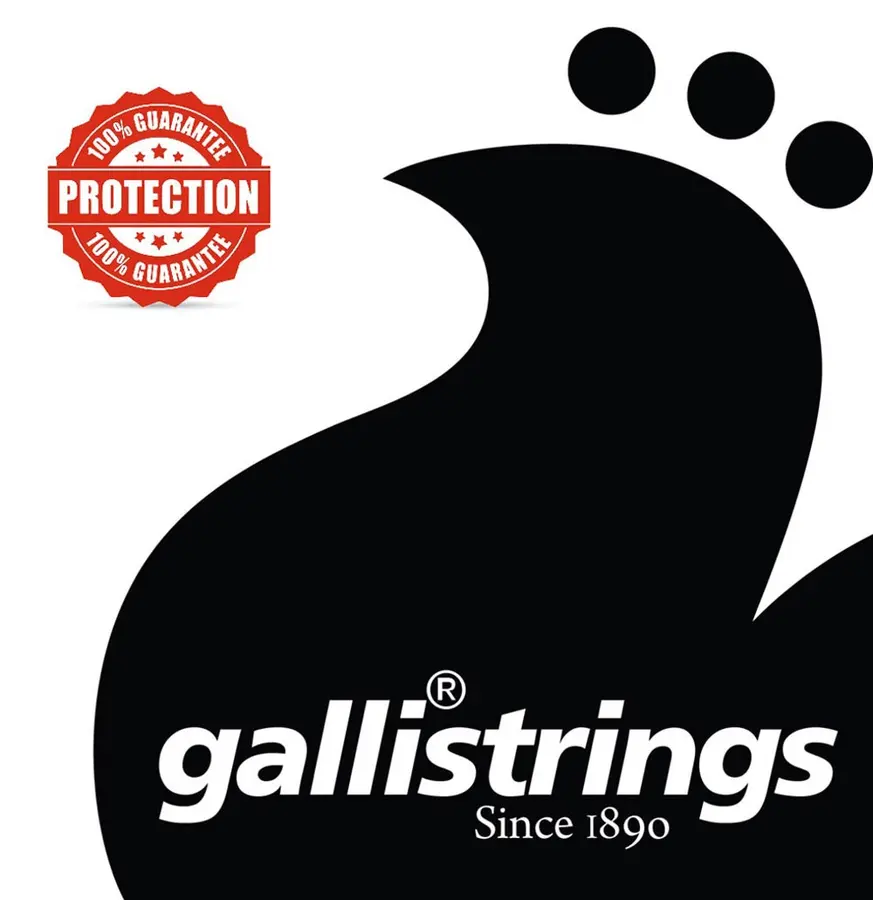 Gallistrings RS1046 Nickel Wound (010-046) Regular 