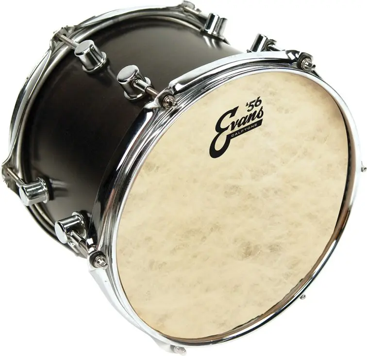 Evans TT13C7 13 Calftone Trommeskinn 
