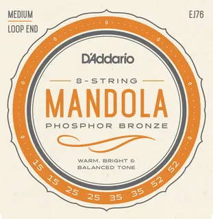 D'Addario EJ76