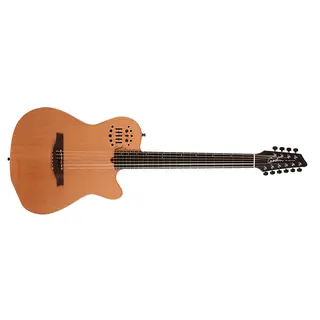 Godin A10 Natural SG Inkl. Gig Bag