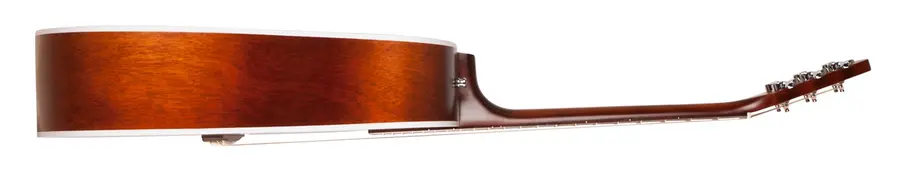 Seagull Entourage Autumn Burst 