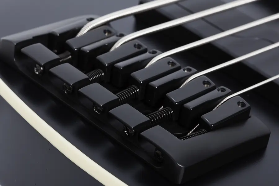 Schecter SLS Evil Twin-5 Satin Black (SBK) 