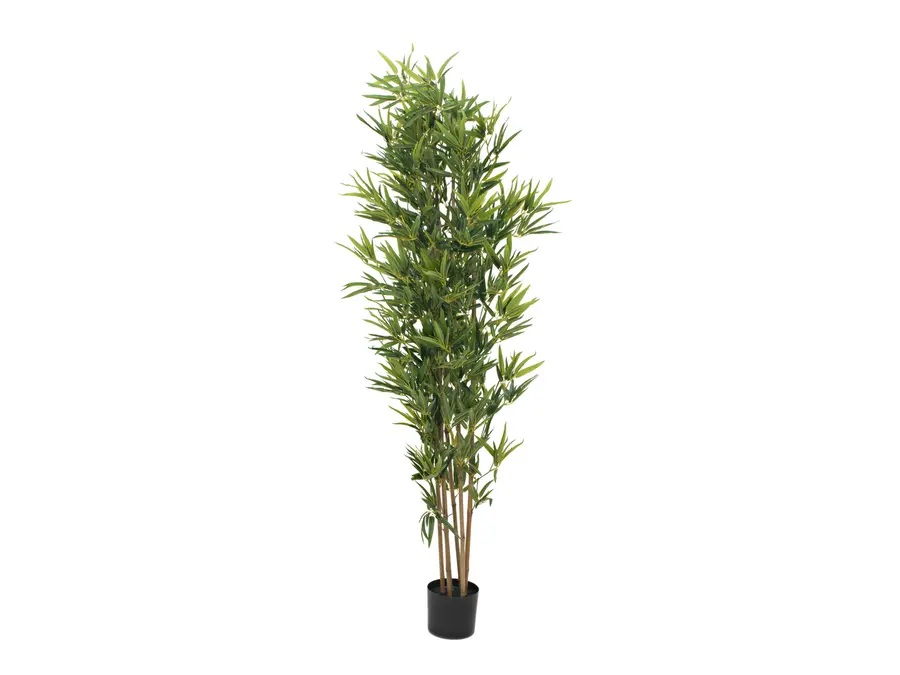 EUROPALMS Bamboo deluxe, artificial plant, 180cm 