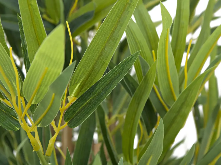 EUROPALMS Bamboo deluxe, artificial plant, 180cm 