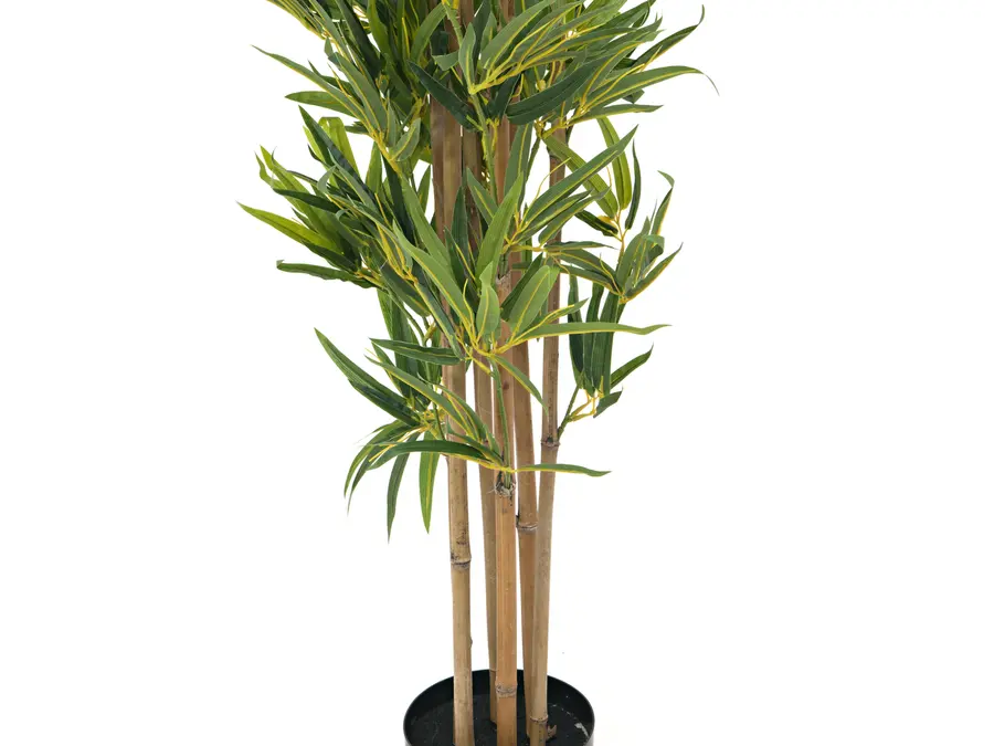EUROPALMS Bamboo deluxe, artificial plant, 180cm 