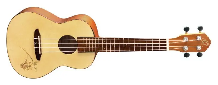 Ortega RU5 Concert ukulele 
