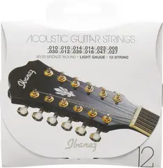 Ibanez IACS12C Streng 12-str. western (010-047)
